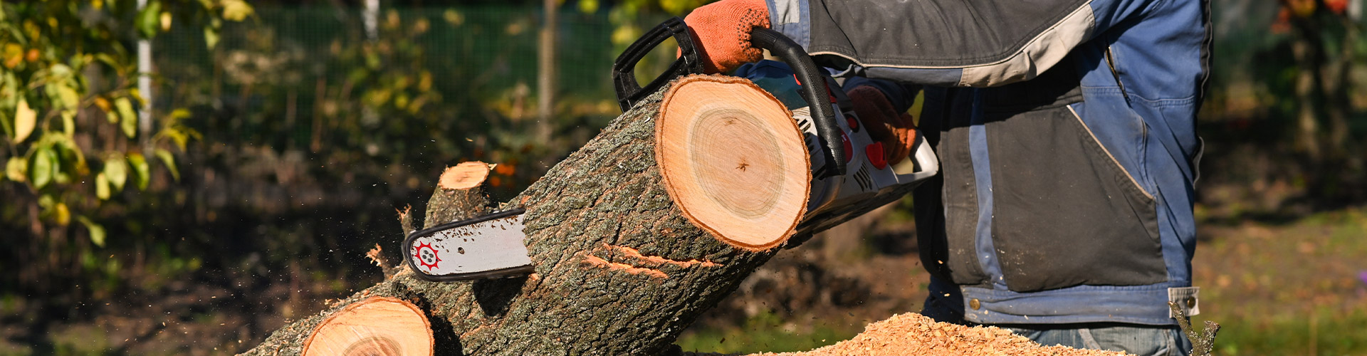 Équipe Tree Services Company en dessouchage à Honglet