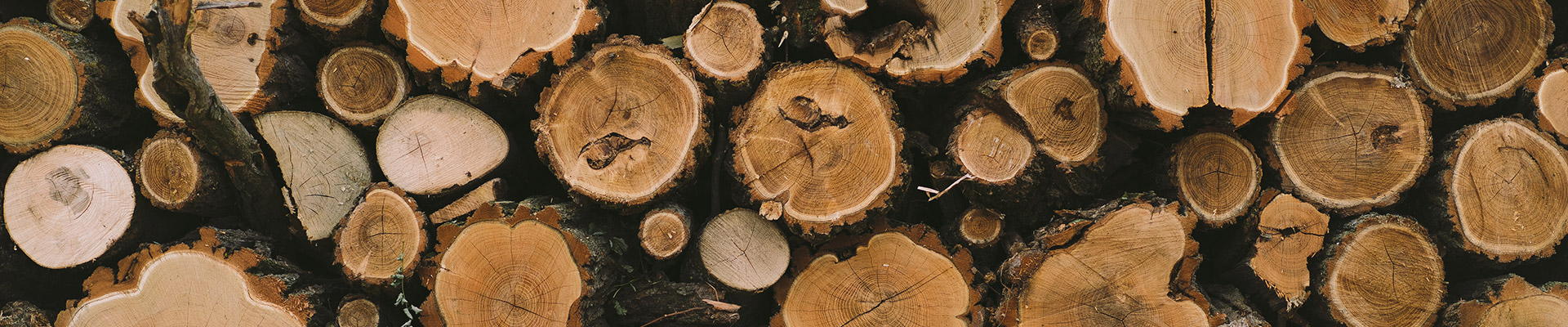 Tas de bûches de bois sec